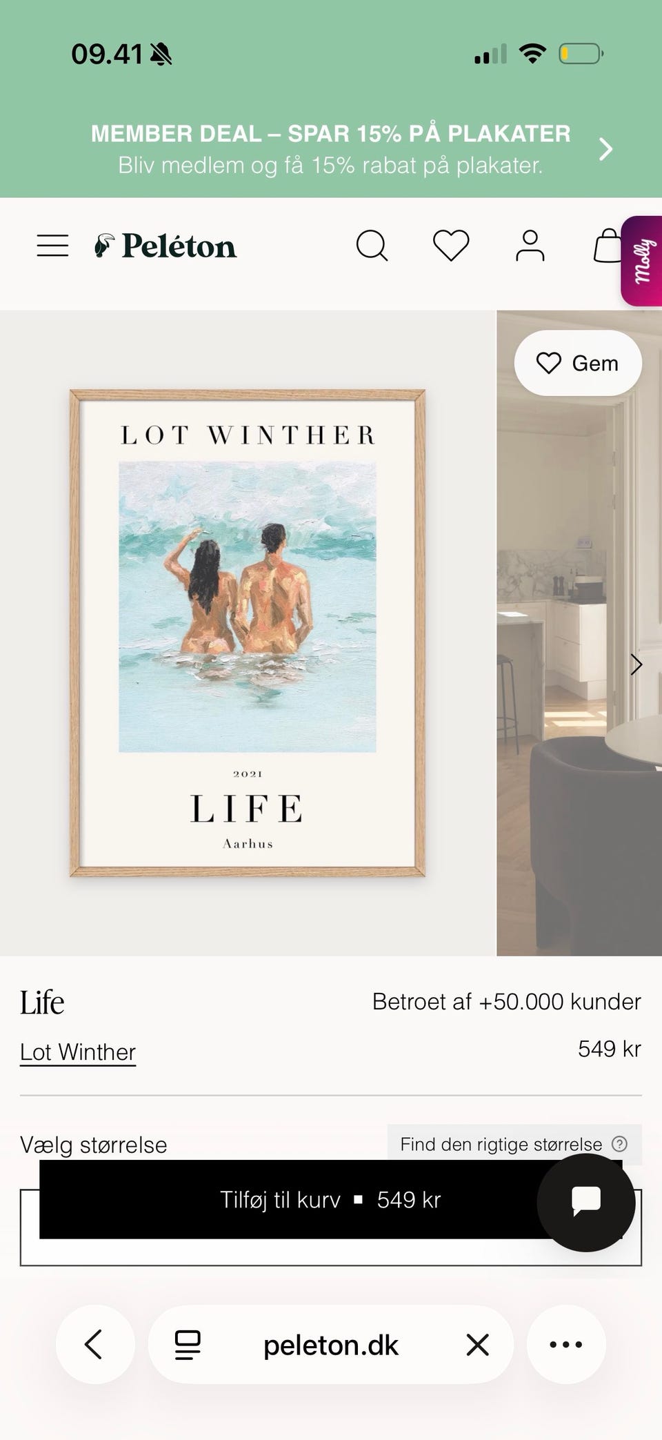 Galleribillede