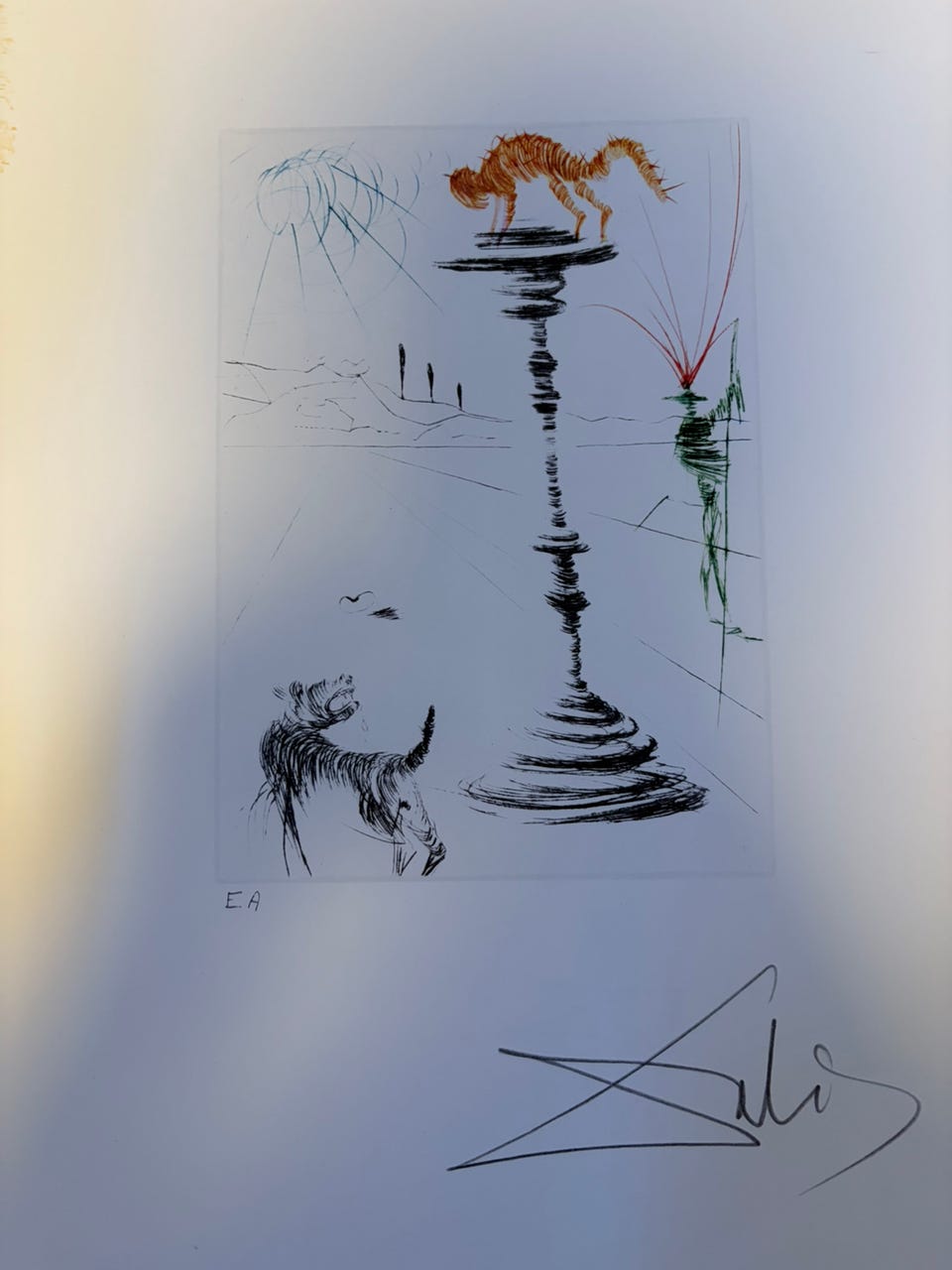 Galleribillede