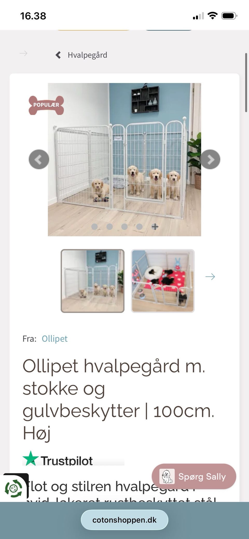 Galleribillede