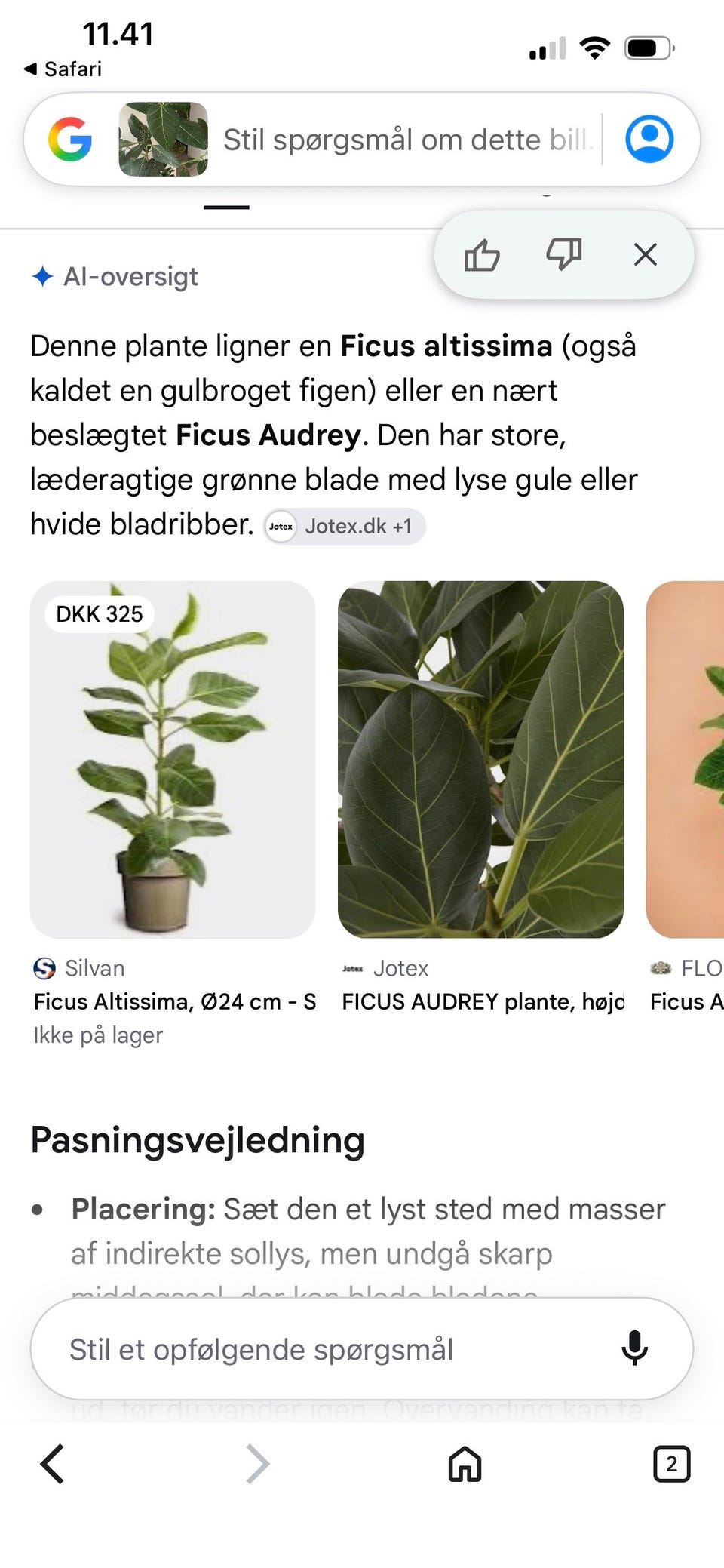 Galleribillede