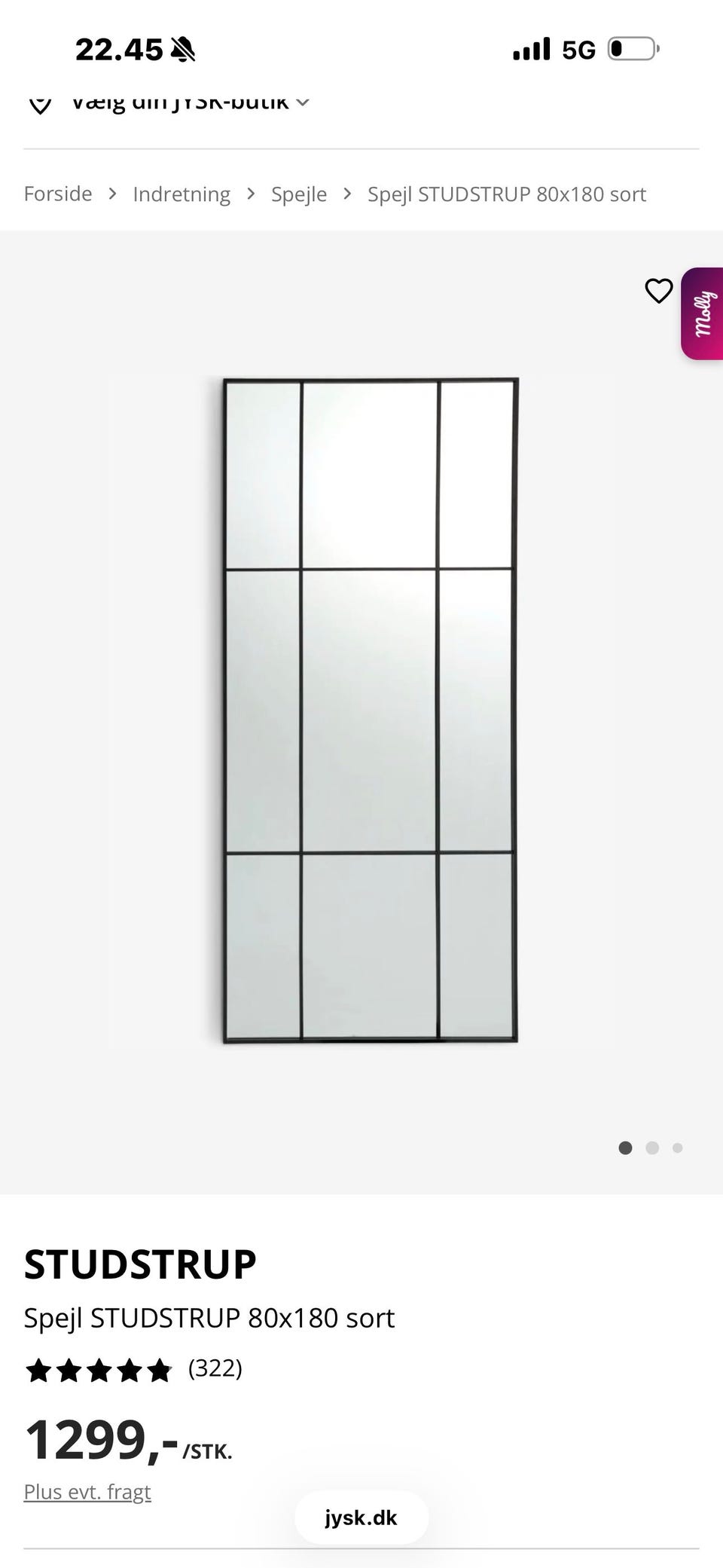 Galleribillede