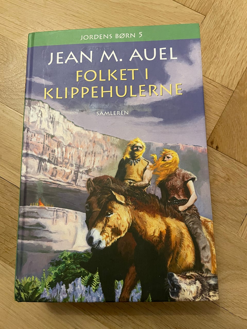 Galleribillede