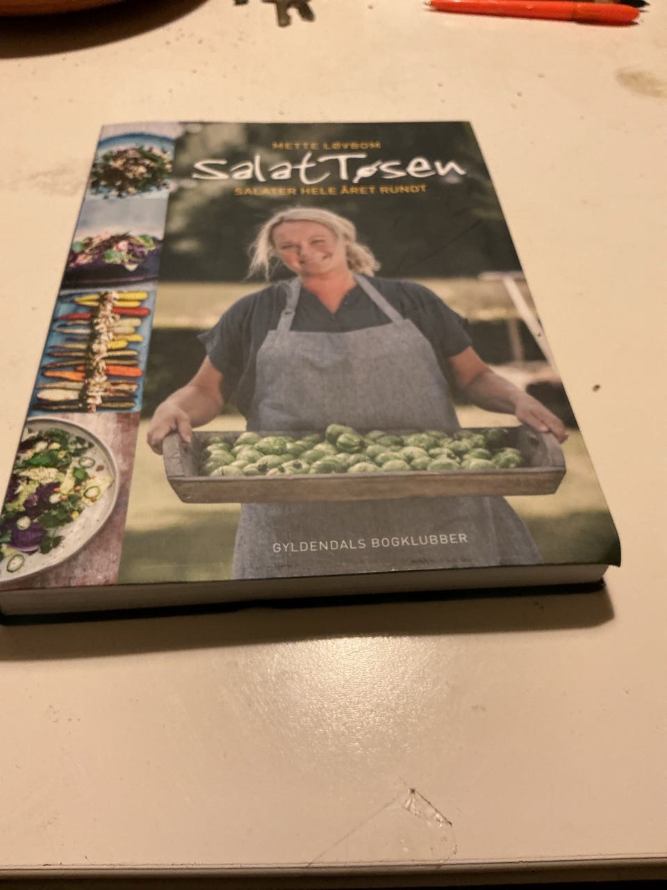 Galleribillede