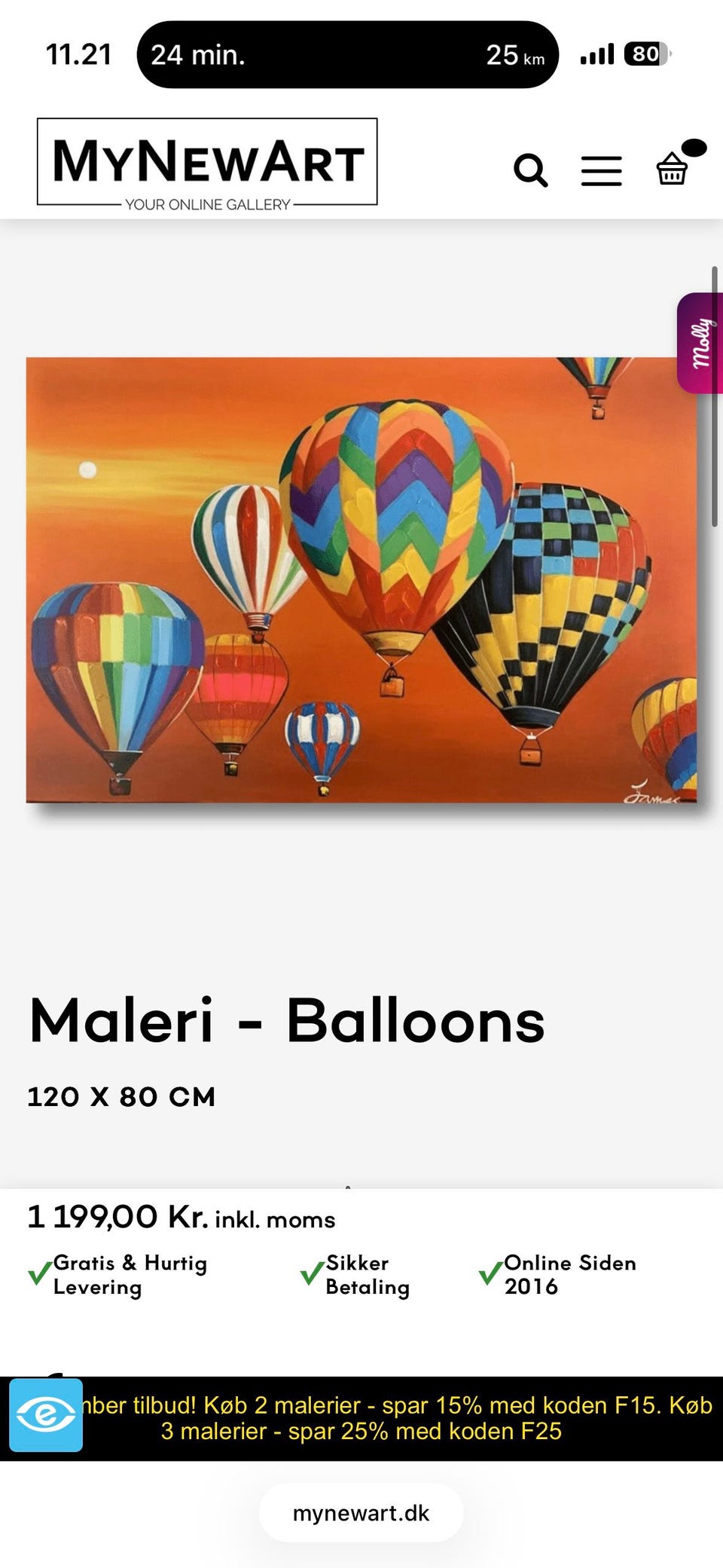 Galleribillede