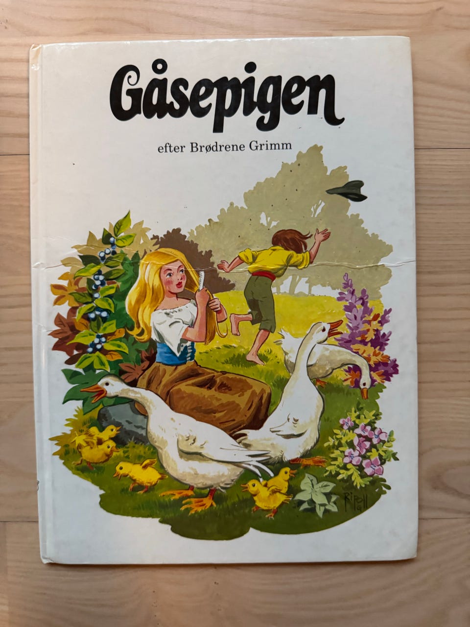 Galleribillede