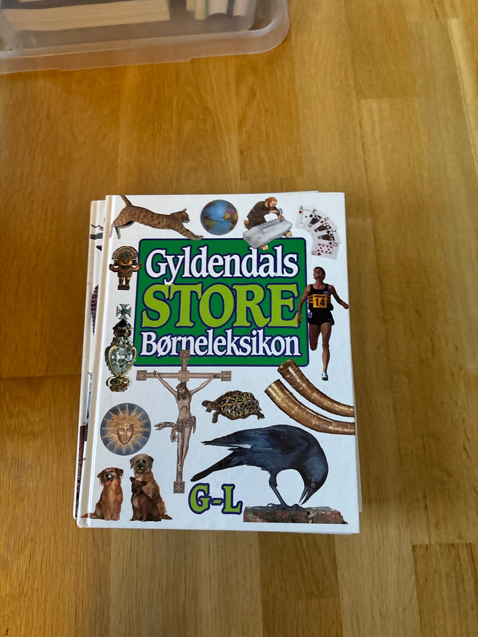 Galleribillede