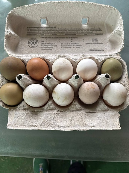 Product image 1 of 5