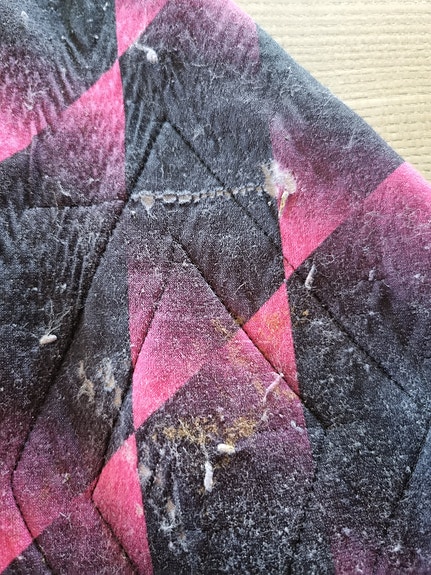 Product image 14 of 24