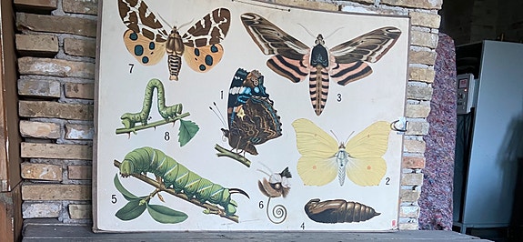 Product image 1 of 2