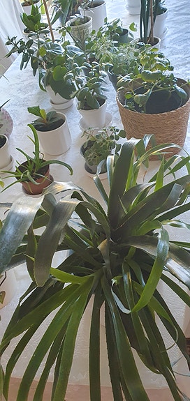 Product image 1 of 10