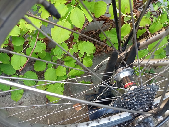 Product image 8 of 10