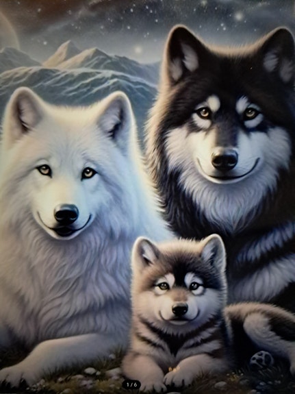 Product image 3 of 6