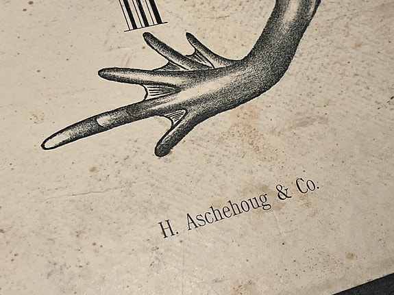 Product image 11 of 14