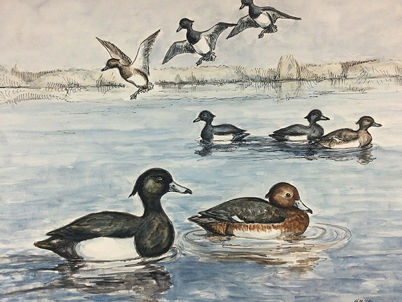 Product image 1 of 7