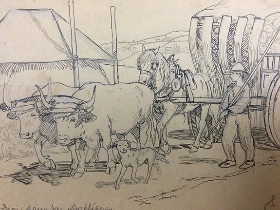 Product image 1 of 8