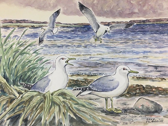 Product image 1 of 8