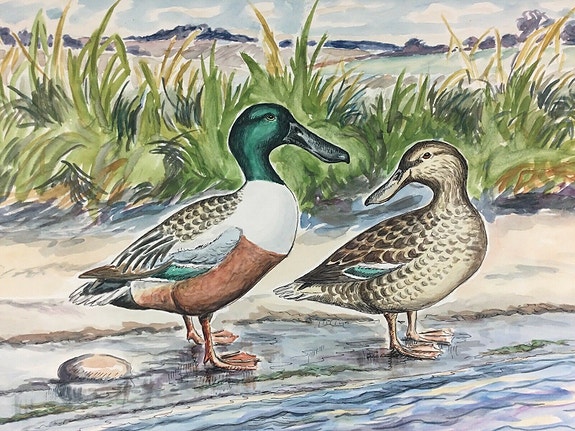 Product image 1 of 7