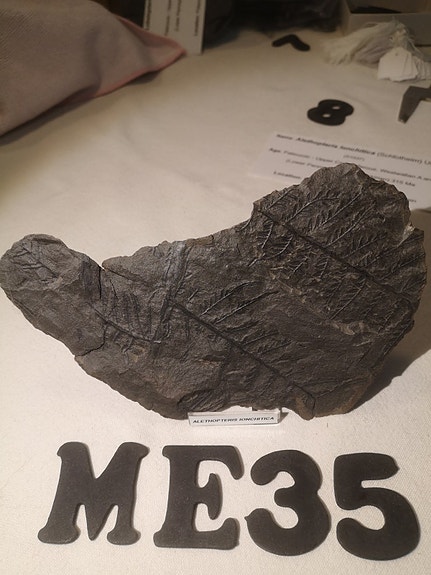 Product image 1 of 7