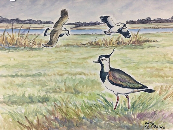 Product image 1 of 7