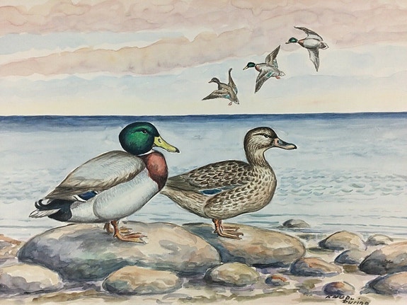 Product image 1 of 6