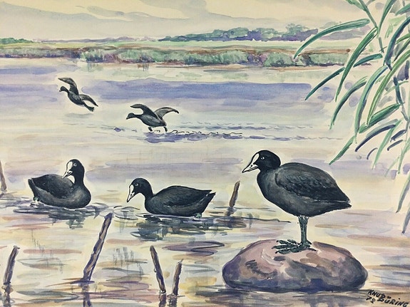 Product image 1 of 6