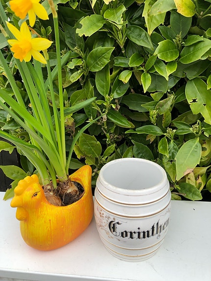 Product image 1 of 8