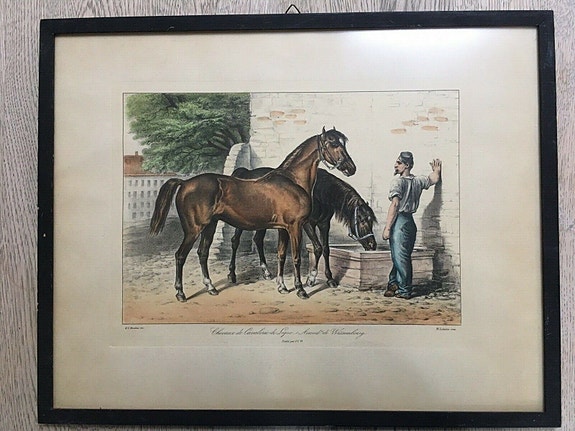 Product image 1 of 8