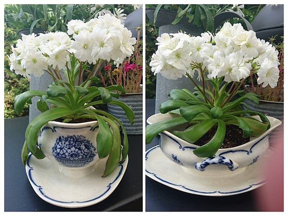 Product image 1 of 8