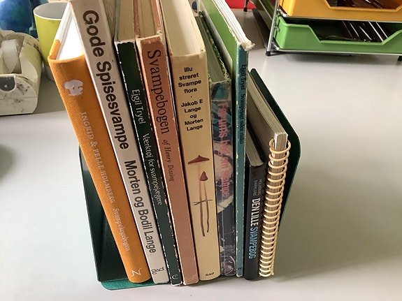 Product image 3 of 8