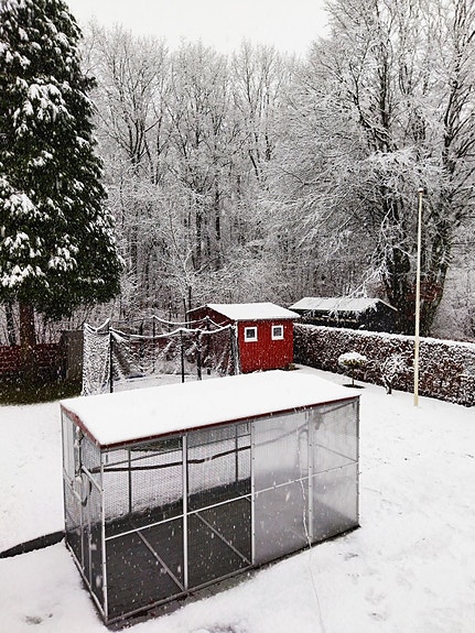 Product image 1 of 8