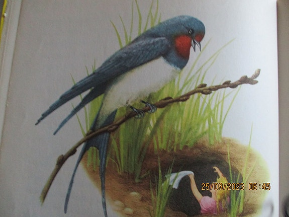 Product image 1 of 8