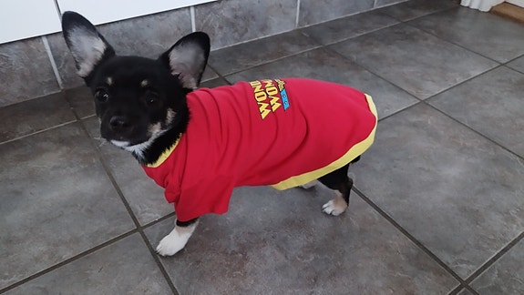 Product image 5 of 7