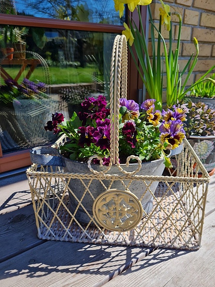 Product image 1 of 8