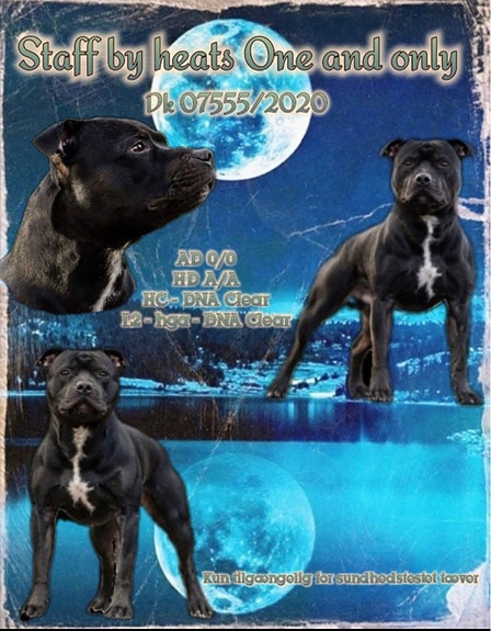 Product image 1 of 8