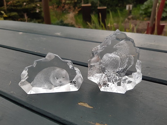 Product image 1 of 8