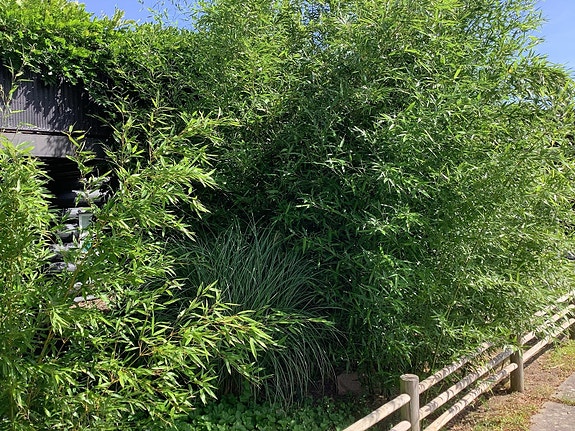 Product image 1 of 10