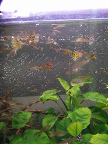 Product image 1 of 10