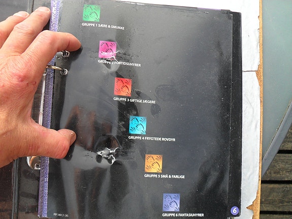 Product image 2 of 8