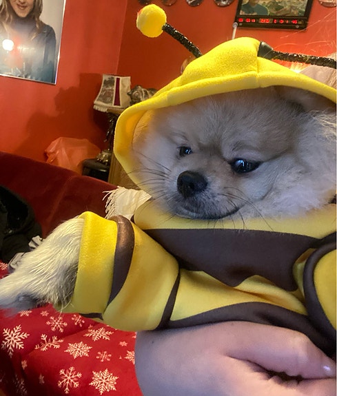 Product image 5 of 8