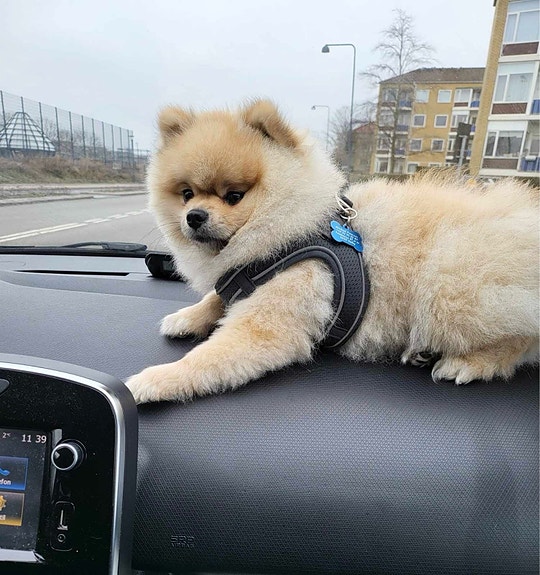 Product image 3 of 8