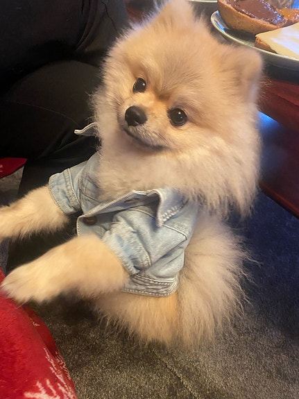 Product image 4 of 8