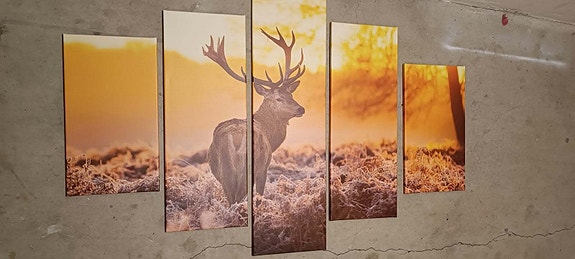 Product image 1 of 5