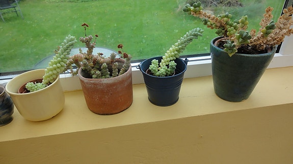 Product image 1 of 8