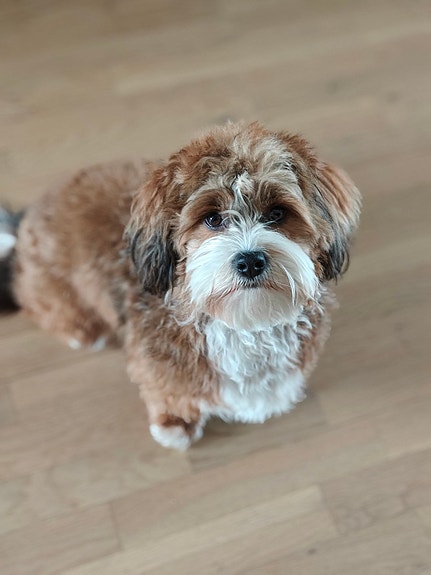 Product image 1 of 4