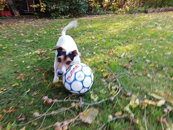 Product image 3 of 8