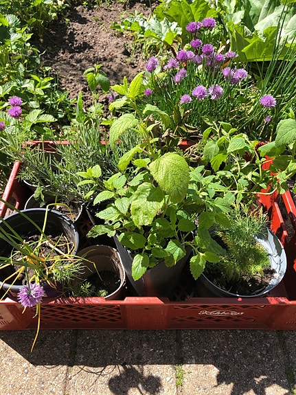 Product image 1 of 8