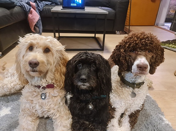 Product image 3 of 10