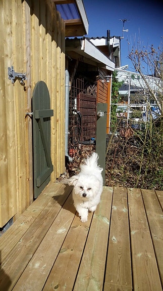 Product image 1 of 8