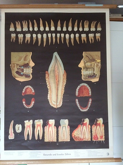 Product image 1 of 7