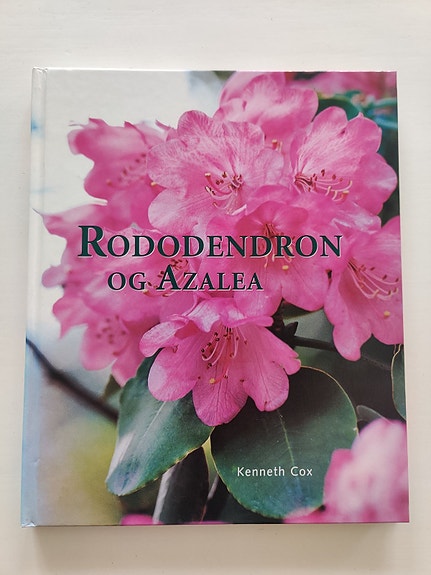 Product image 1 of 7